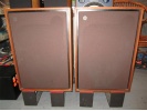 英国天朗TANNOY HPD-315A钢磁12寸音箱