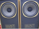 TANNOY ARUNDEL 一对 3839