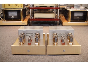 美国 Triangle Art 三角艺术 REFERENCE TUBE AMPLIFIER 单声道后级