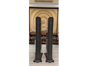 美国 GoldenEar Technology T66 Tower 音箱