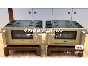 金嗓子 A200 单声道 纯甲类后级