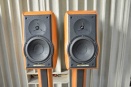 世霸大情人 Sonus Faber ELECTA AMATOR II代