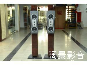 Dynaudio/丹拿 信心二号LE Confidence C2LE 限量版落地箱