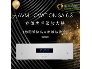 德国 AVM 立体声后级放大器 OVATION SA 6.3