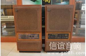 天朗TANNOY SRM 12X