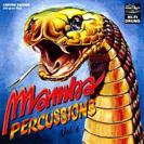 Mamba Percussions & The Magic of Paraguayan Harp 敲击竖琴/巴拉圭竖琴 (200克33转LP) 限量发行   SMLP-002