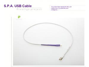 荷兰live cable现场拉阔spa usb线