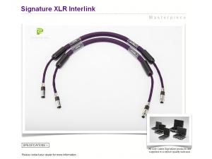 荷兰 live cable 现场拉阔 signature 平衡线