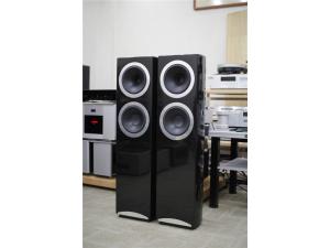 英国 Tannoy/天朗 Definition DC8T 落地箱 