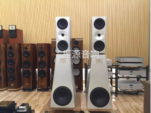 美国 YG Acoustics HS200